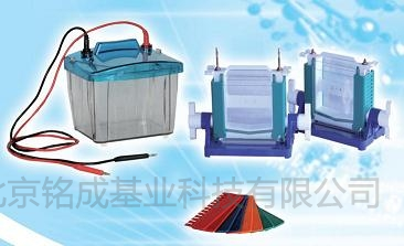 北京六一P4蛋白垂直电泳仪DYCZ-25E型(新品)